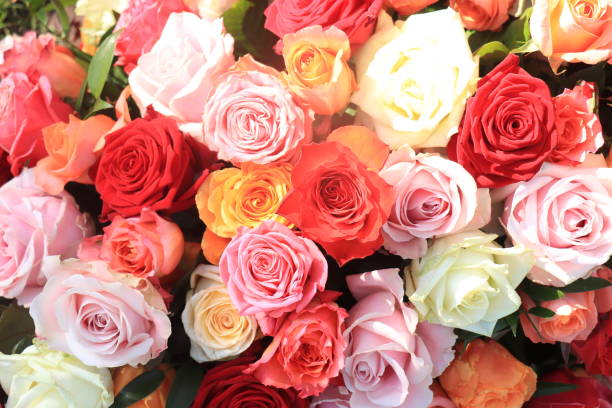 istock Colorful wedding roses 1396746466