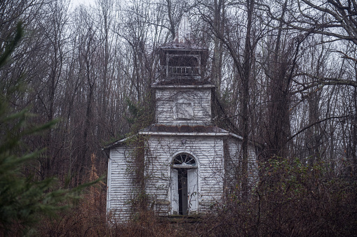 A Virginian church slowly consumed by kudzu. in United States, Virginia, Hot Springs