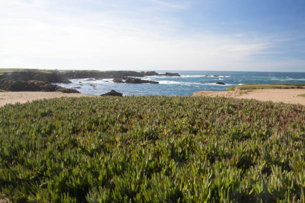 istock landscape with grass, sky and ocean 1396750943
