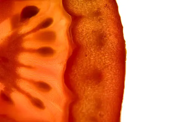 Tomato on white background