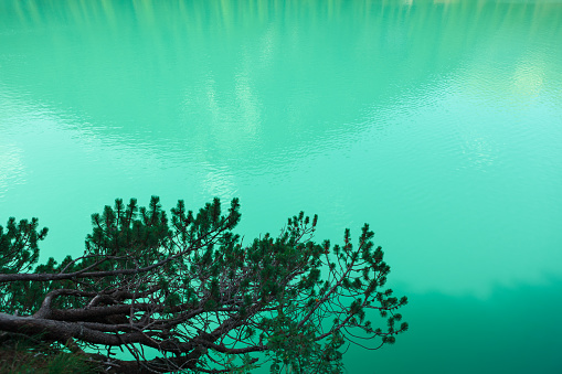 Turquoise color lake . Branches with water at background