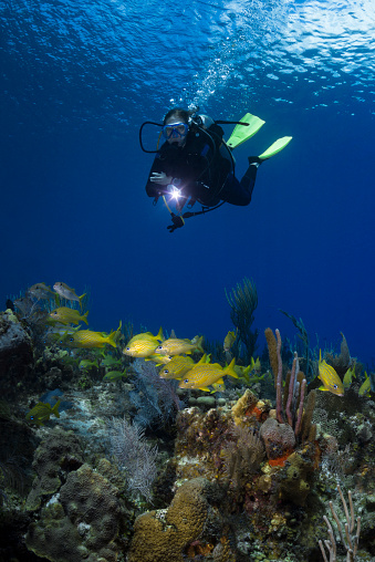 View of the stunning marine life with a female scuba diver in Little Cayman Island, Cayman Islands