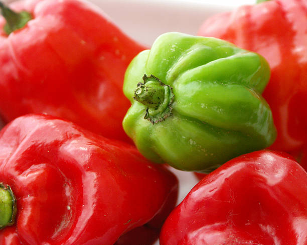 Hot peppers 2 stock photo