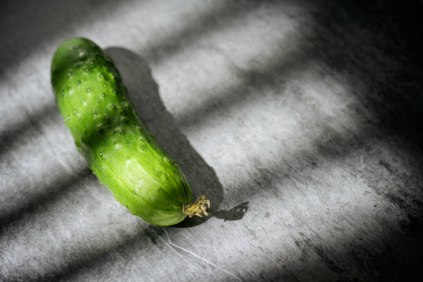 Fresh green cucumber isolated on the white background, copy space template