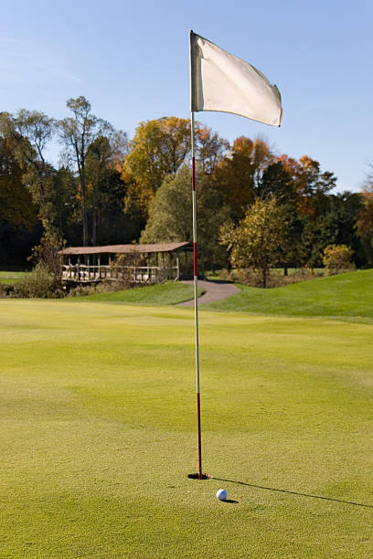 bandeira de golfe 02 - preview business golf drive imagens e fotografias de stock