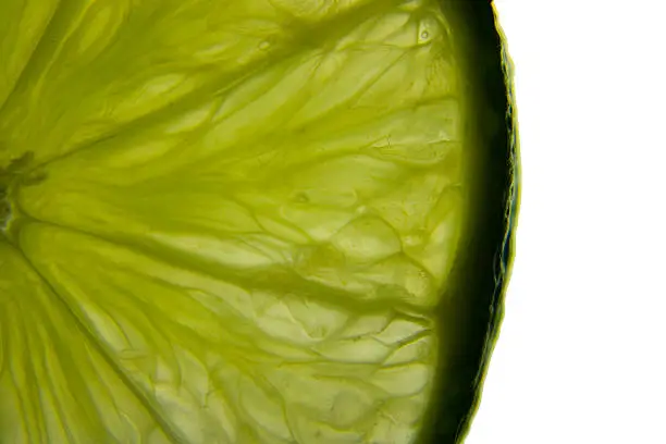 Lime on white background