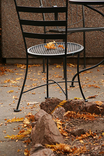 Metal Chair with Autumn Leaves stock photo