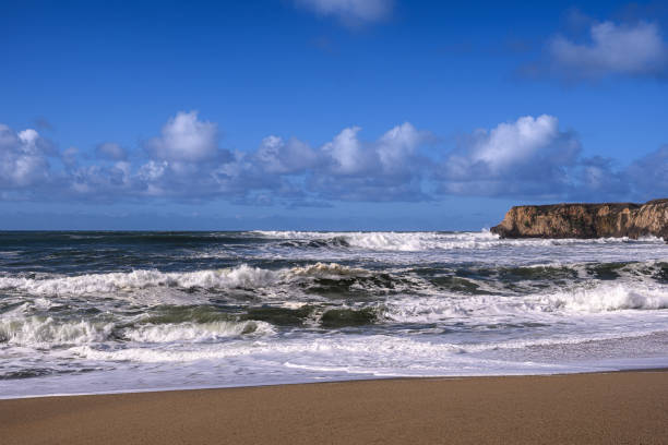 istock Turbulent Ocean Waves On Beach Off California Coast 1396759718