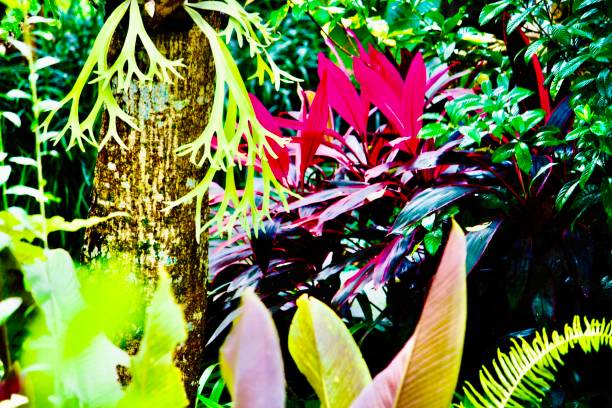 istock Balinese Tropical Garden 1396760484