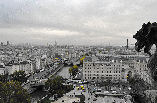 Notre Dame gargoyle protecting the city of lights