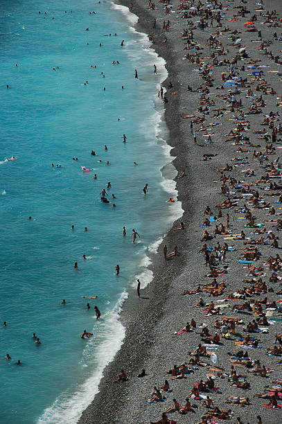 istock Anyone seen a shark? Or my mom? 139676141