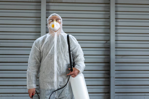 istock Worker wearing protective suit disinfection gear disinfect surface public place 1396761412