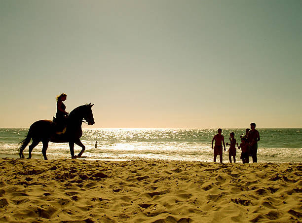 istock horse on the beach 139676347