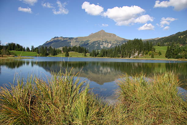 Mountain lake stock photo