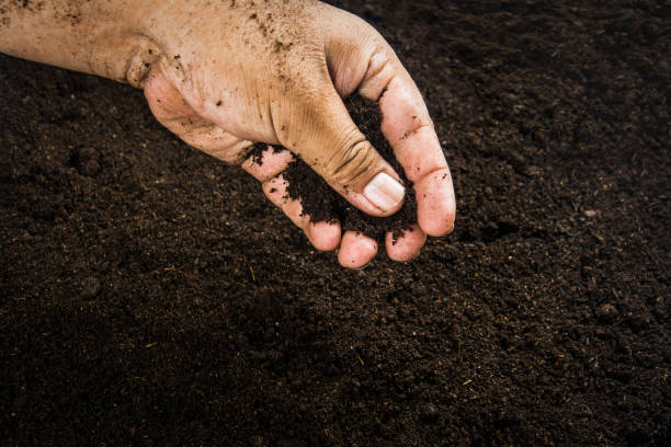 istock Hands dirty with clay , soil background 1396764783