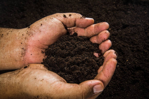 istock Hands dirty with clay , soil background 1396764784