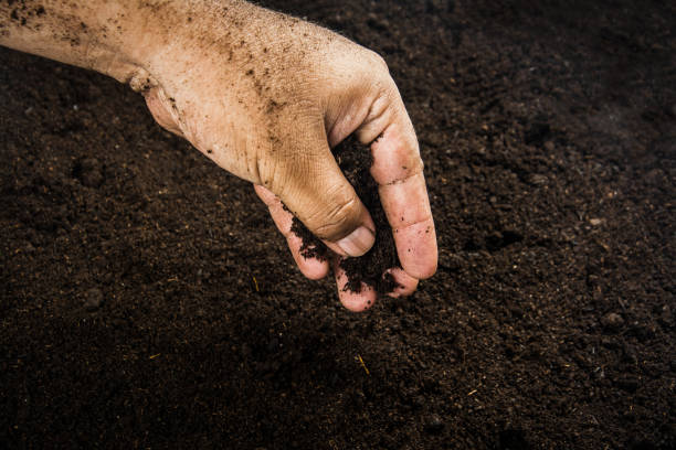 istock Hands dirty with clay , soil background 1396764795