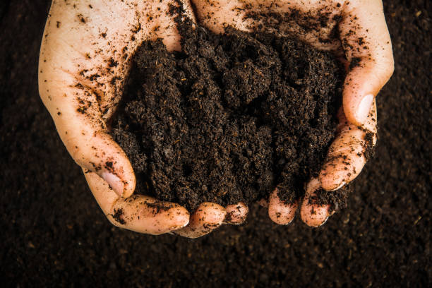 istock Hands dirty with clay , soil background 1396764972