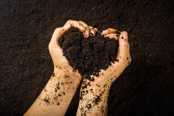 istock Hands dirty with clay , soil background 1396765129