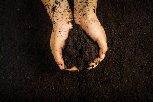 istock Hands dirty with clay , soil background 1396765132