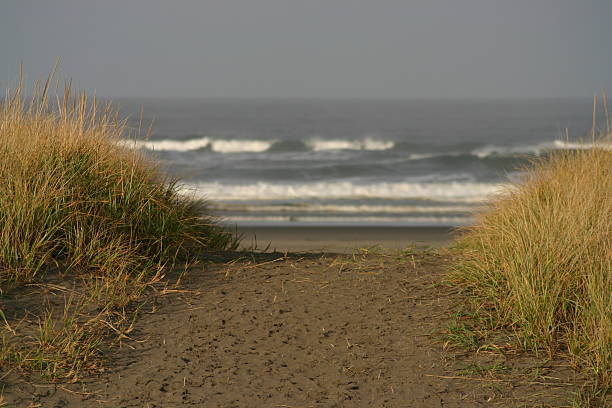 Path to the beach stock photo