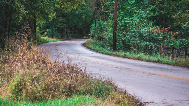 istock Country Road Curving 1396768265