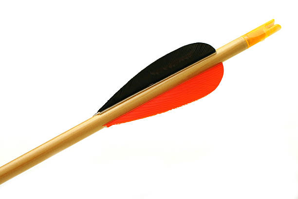 istock Arrow Fletchings 139677108