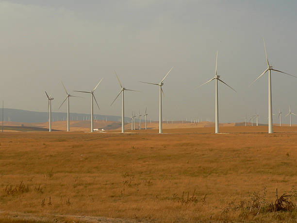 windfarm - conservational 뉴스 사진 이미지