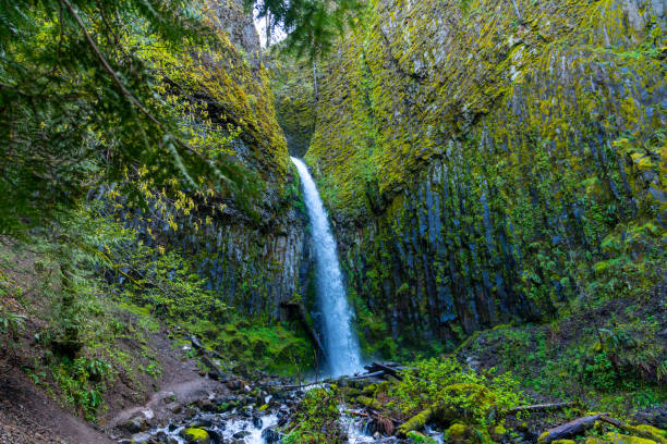 Dry Creek Waterfall Hike along the PCT in Cascade Locks, Oregon Waterfall at the end of Dry Creek Waterfall Hike along the PCT in Cascade Locks, Oregon pacific crest trail stock pictures, royalty-free photos & images