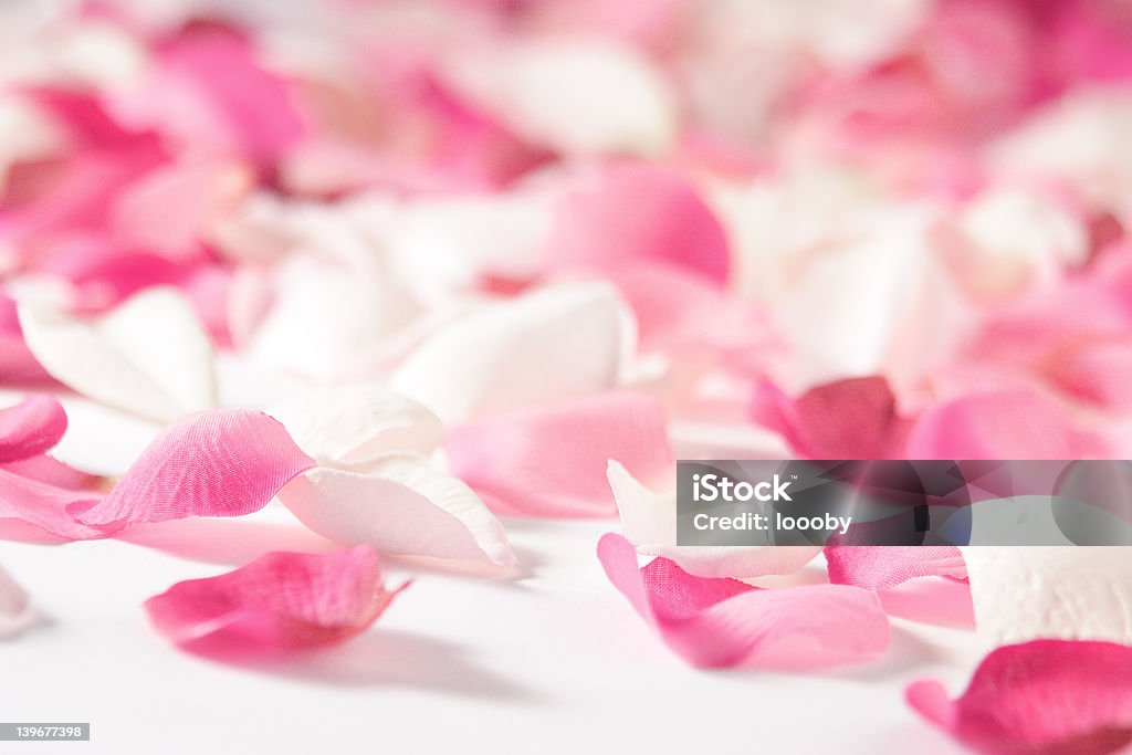 Rosa petali di rosa (silk - Foto stock royalty-free di Esplodere