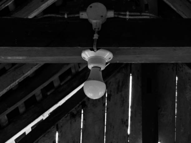 istock Black and white lamp photo 1396774625