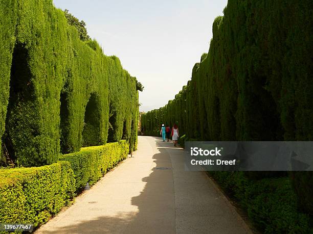 Parc Avenue W Alhambra - zdjęcia stockowe i więcej obrazów Aleja - Aleja, Alhambra - Hiszpania, Andaluzja