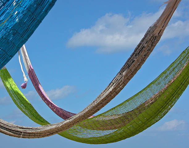 Hammock stock photo