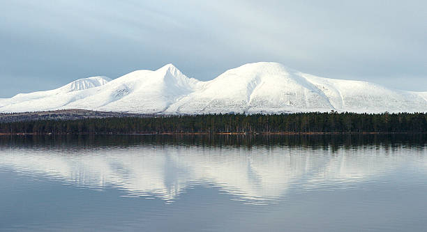 winter stock photo