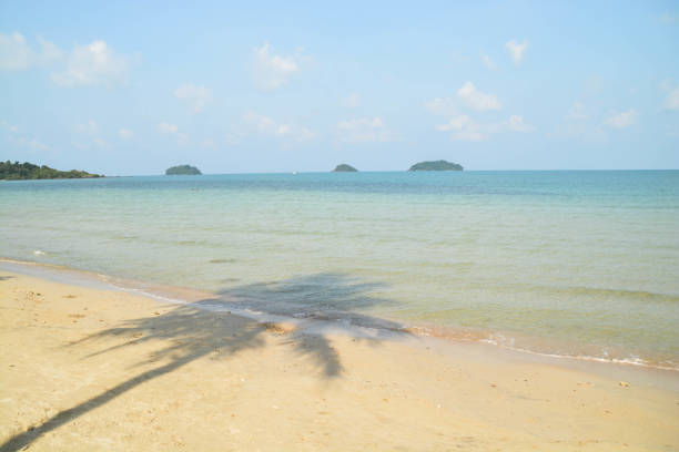 istock Shadow of coconut tree reflect on the beach and sea. 1396779097
