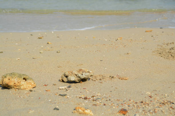 istock Rock on the sand at the beach. 1396779098