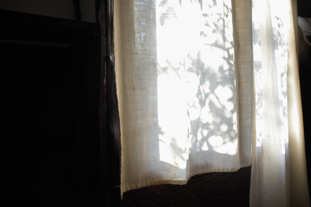 istock Leaves tree branch shade with sunlight on calico curtain. 1396779242