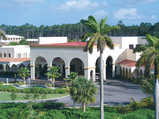 istock Hotel and palm trees in the sun 139678019