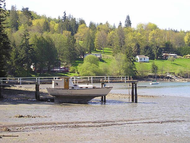 istock Low tide on the Puget Sound 139678027