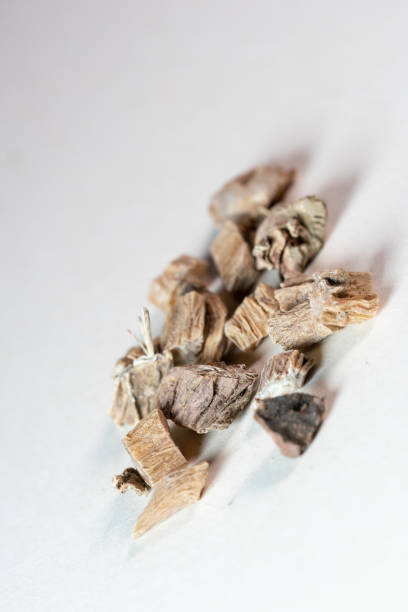 istock chinese medicine Radix stemonae on white background 1396781259