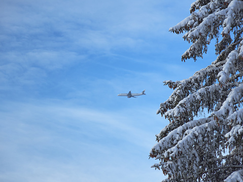 Plane in distance in blue sky with light clouds and spruce tree in foreground and snow.