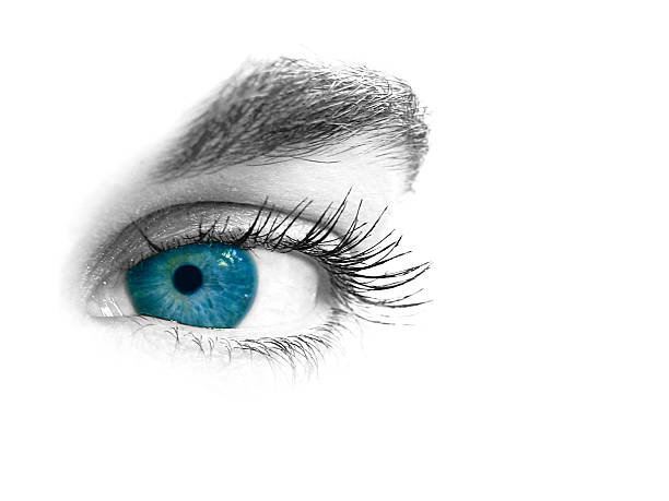 istock Close-up of an eye 139678640