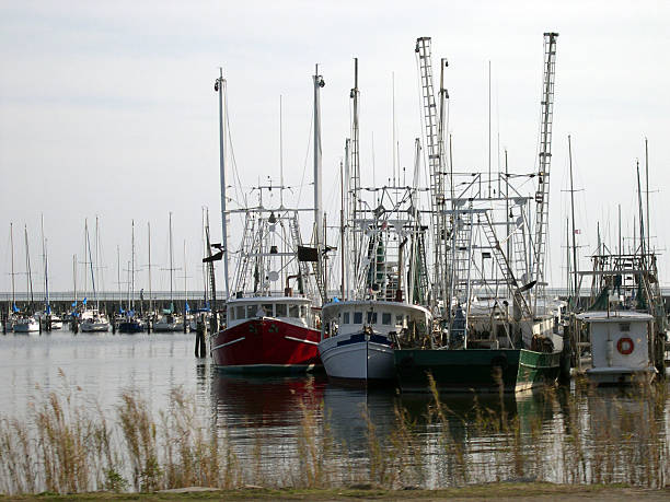 shrimping imbarcazioni su boloxi, mississippi - barca per pesca di gamberetti foto e immagini stock