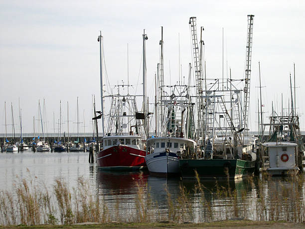 shrimping boloxi 、ミシシッピ川のボート - 海老釣り漁船 ストックフォトと画像
