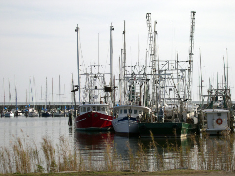 ships on Boloxi, Mississippi coast line  