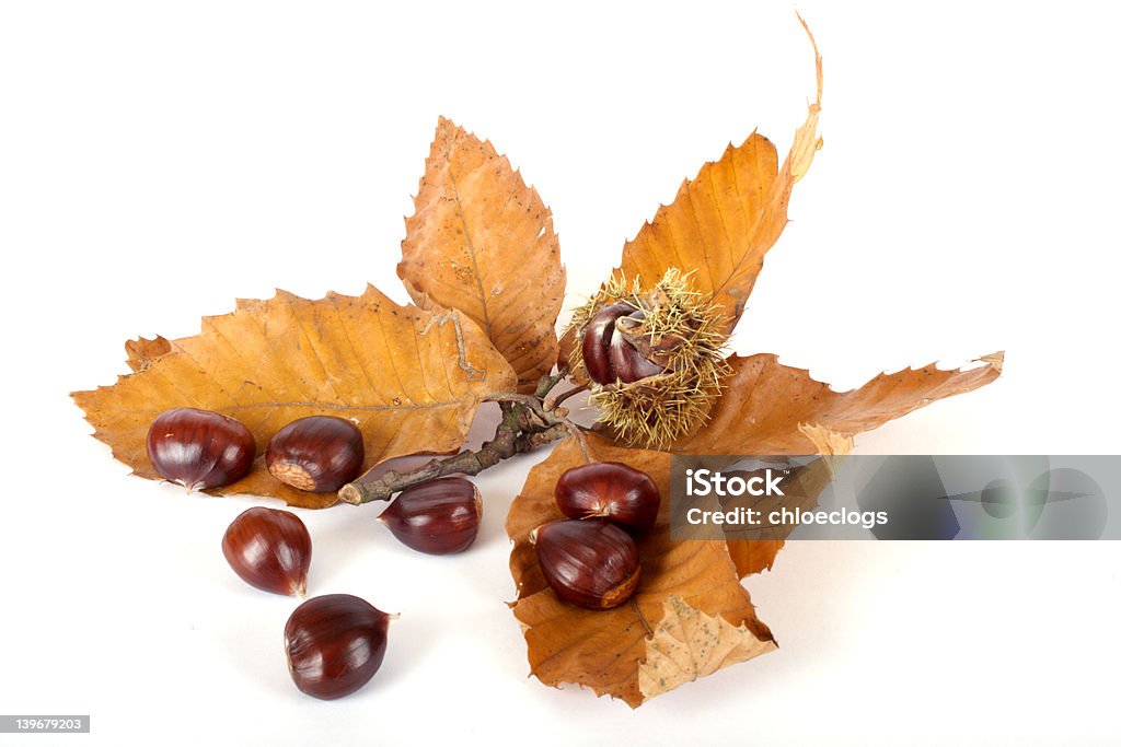 Castagne con foglie - Foto stock royalty-free di Abbondanza