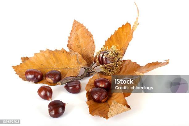 Castagne Con Foglie - Fotografie stock e altre immagini di Abbondanza - Abbondanza, Appuntito, Autunno