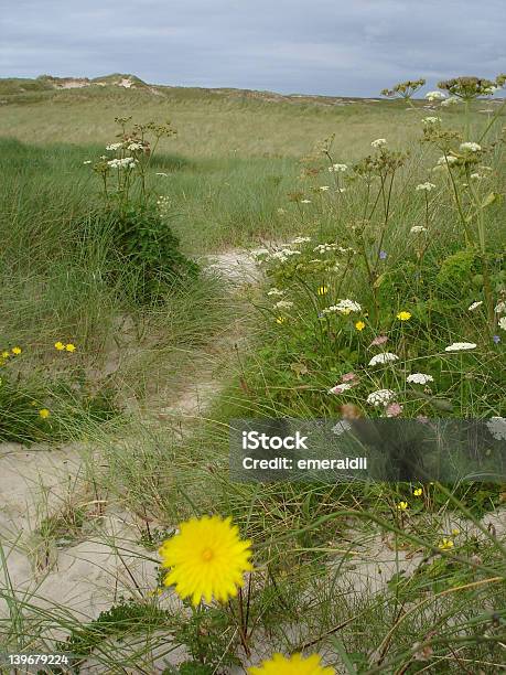 Зеленые Поля Gweedore — стоковые фотографии и другие картинки Без людей - Без людей, Великобритания, Вертикальный