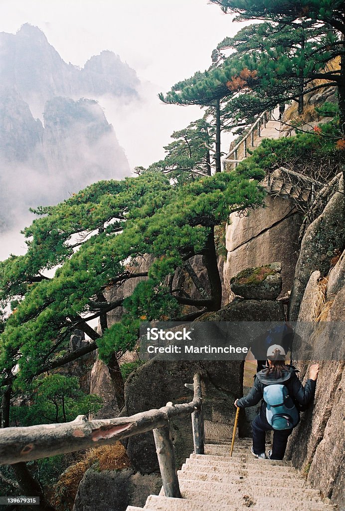 Huang Shan, gelbe Berg, China - Lizenzfrei Baum Stock-Foto