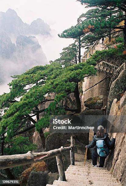 Huang Shan Gelbe Berg China Stockfoto und mehr Bilder von Baum - Baum, Berg, Berggipfel